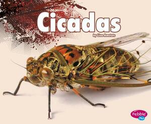 Cicadas by Lisa J. Amstutz