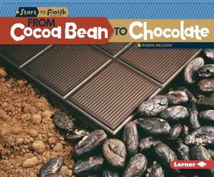 From Cocoa Bean to Chocolate by Robin Nelson