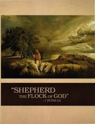 Shepherd The Flock of God by Watch Tower Bible and Tract Society of Pennsylvania 