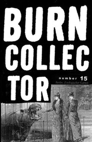 Burn Collector 15 by Al Burian