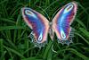 nati_inpages's profile picture