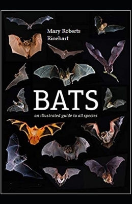 The Bat Illustrated by Mary Roberts Rinehart