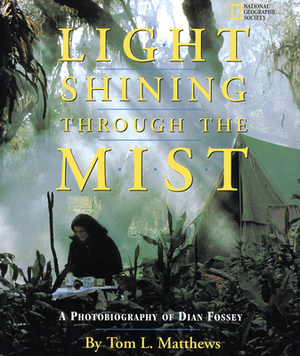 Light Shining Through the Mist by Tom Mathews