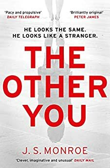 The Other You by J.S. Monroe