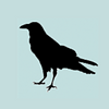 book_enjoyer's profile picture