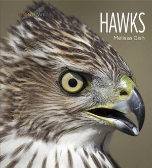 Living Wild: Hawks by Melissa Gish