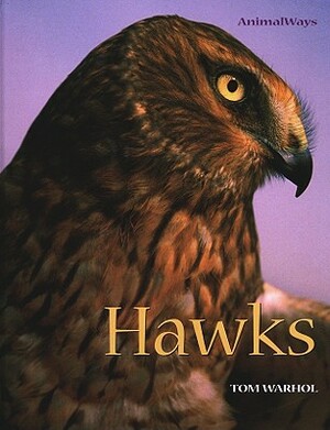 Hawks by Tom Warhol