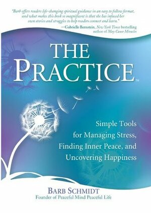 The Practice: Simple Tools for Managing Stress, Finding Inner Peace, and Uncovering Happiness by Barbara Schmidt