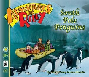 South Pole Penguins by Amanda Lumry