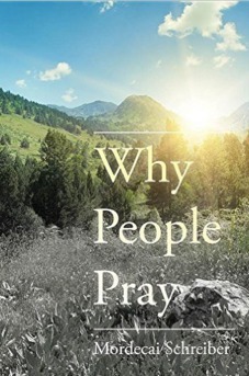 Why People Pray: The Universal Power of Prayer by Mordecai Schreiber