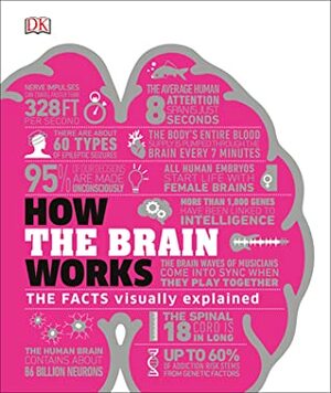 How the Brain Works: The Facts Visually Explained by D.K. Publishing