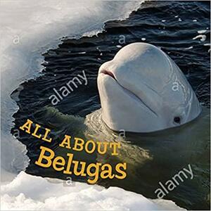 All about Belugas: English Edition by Jordan Hoffman