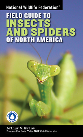 National Wildlife Federation Field Guide to Insects and SpidersRelated Species of North America by Arthur V. Evans, Craig Tufts