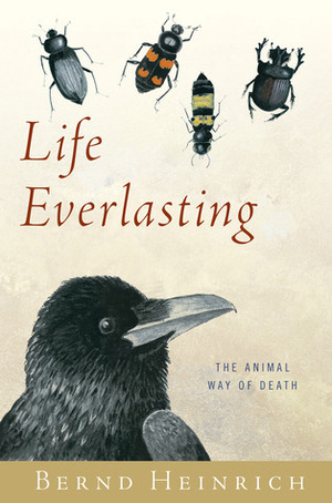 Life Everlasting: The Animal Way of Death by Bernd Heinrich