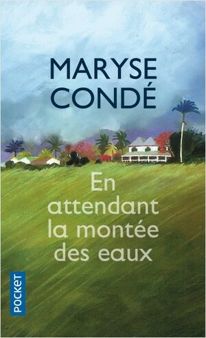 En attendant la montée des eaux by Maryse Condé
