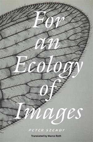 For an Ecology of Images by Peter Szendy