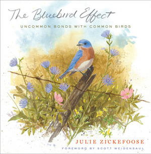 The Bluebird Effect: Uncommon Bonds with Common Birds by Julie Zickefoose