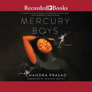 Mercury Boys by Chandra Prasad