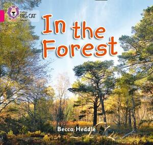 In the Forest by Becca Heddle