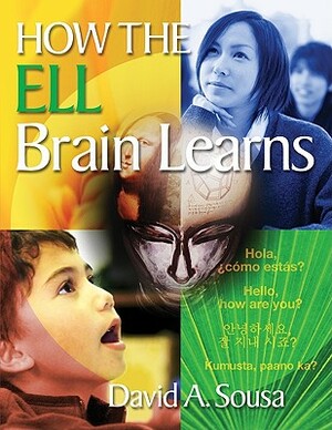 How the Ell Brain Learns by David A. Sousa