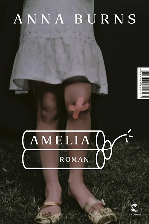 Amelia: Roman by Anna Burns