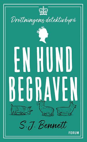 En hund begraven by S.J. Bennett