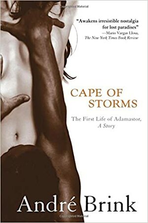 Cape of Storms: The First Life of Adamastor by André Brink