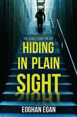 Hiding in Plain Sight by Eoghan Egan