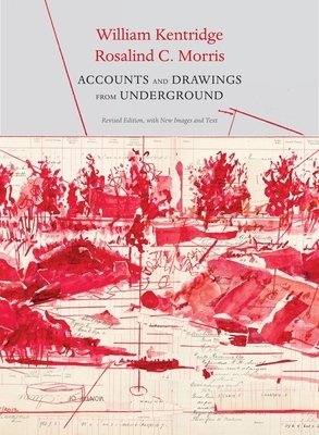 Accounts and Drawings from Underground: The East Rand Proprietary Mines Cash Book by Rosalind C. Morris, William Kentridge
