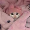 ghostsmoocher's profile picture