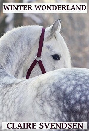 Winter Wonderland by Claire Svendsen