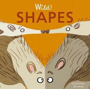 Shapes by Courtney Dicmas