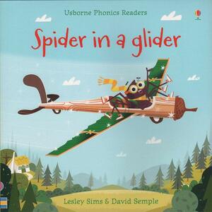 Spider in a glider by Lesley Sims