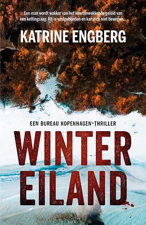 Wintereiland by Katrine Engberg