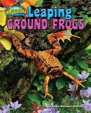 Leaping Ground Frogs by Dawn Bluemel Oldfield