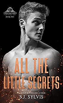 All the Little Secrets by S.J. Sylvis