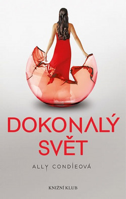 Dokonalý svět by Ally Condie