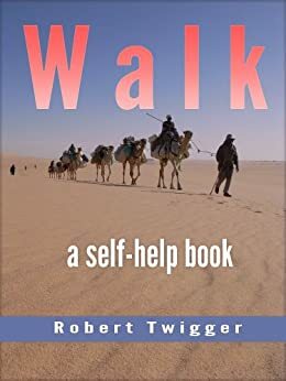 WALK by Robert Twigger