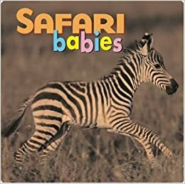 Safari Babies by Aimee Jackson, Kristen McCurry