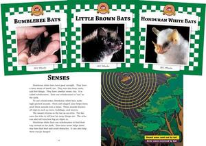 Bats Set 2: Checkerboard Animal Library Anniversary Edition by Jill C. Wheeler