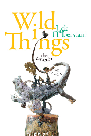 Wild Things: The Disorder of Desire by Jack Halberstam