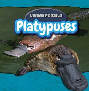 Platypuses by Caitie McAneney, Caitie McAneney