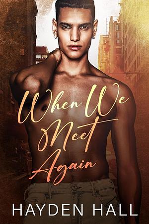 When We Meet Again by Hayden Hall