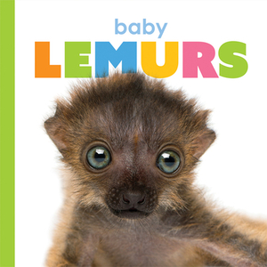 Baby Lemurs by Kate Riggs