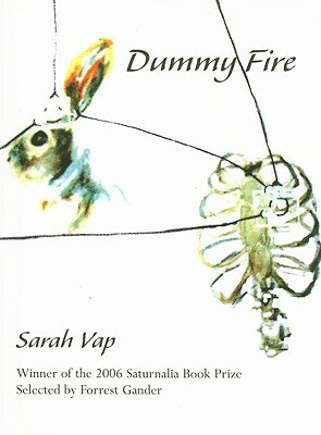 Dummy Fire by Sarah Vap