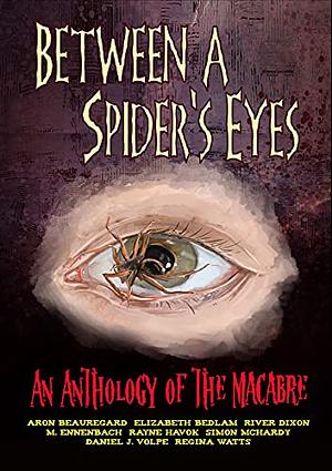 Between A Spider's Eyes: an anthology of the macabre by River Dixon