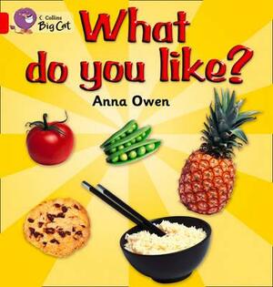 What Do You Like? Workbook by Anna Owen