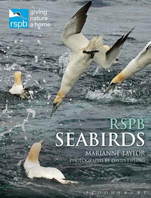 RSPB Seabirds by Marianne Taylor