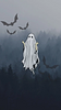moni_rc's profile picture