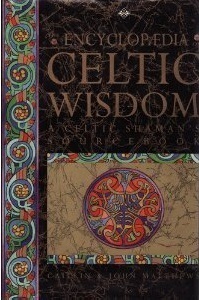 The Encyclopaedia of Celtic Wisdom: A Celtic Shaman's Sourcebook by Caitlín Matthews, John Matthews